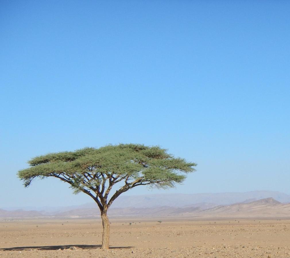 Paradis Touareg Загора Экстерьер фото